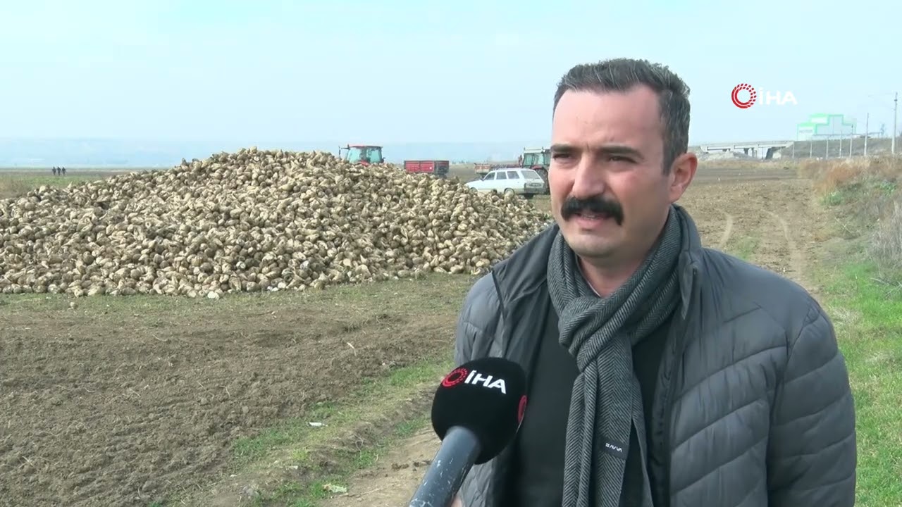 Polatlı'da şeker pancarı hasadı tempo kesmiyor