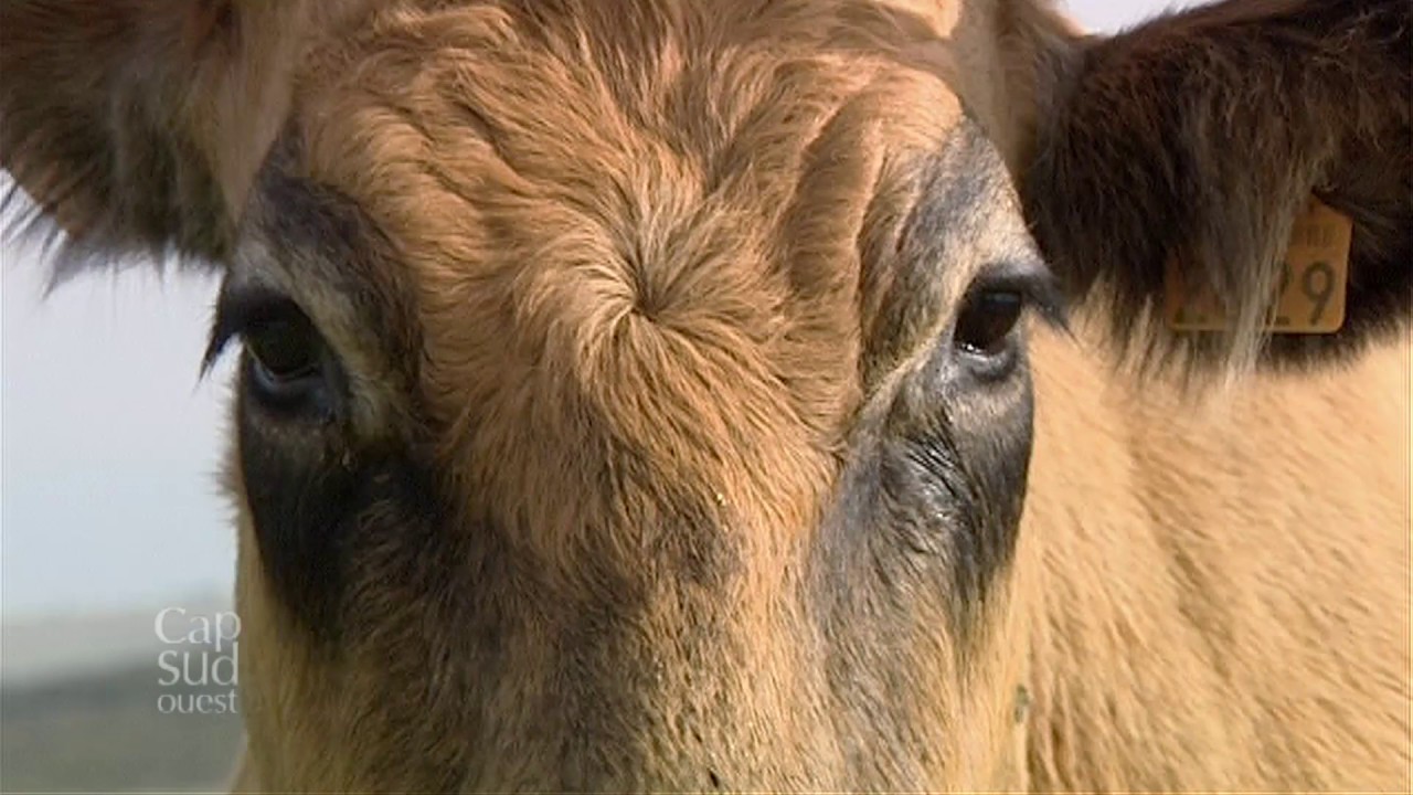 Cap Sud Ouest Aubrac, une terre de rencontres