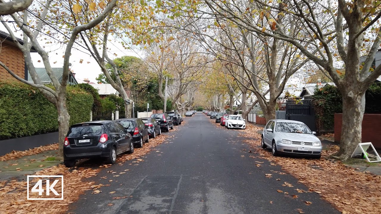 Walking Elwood's Amazing Leafy Autumn Streets