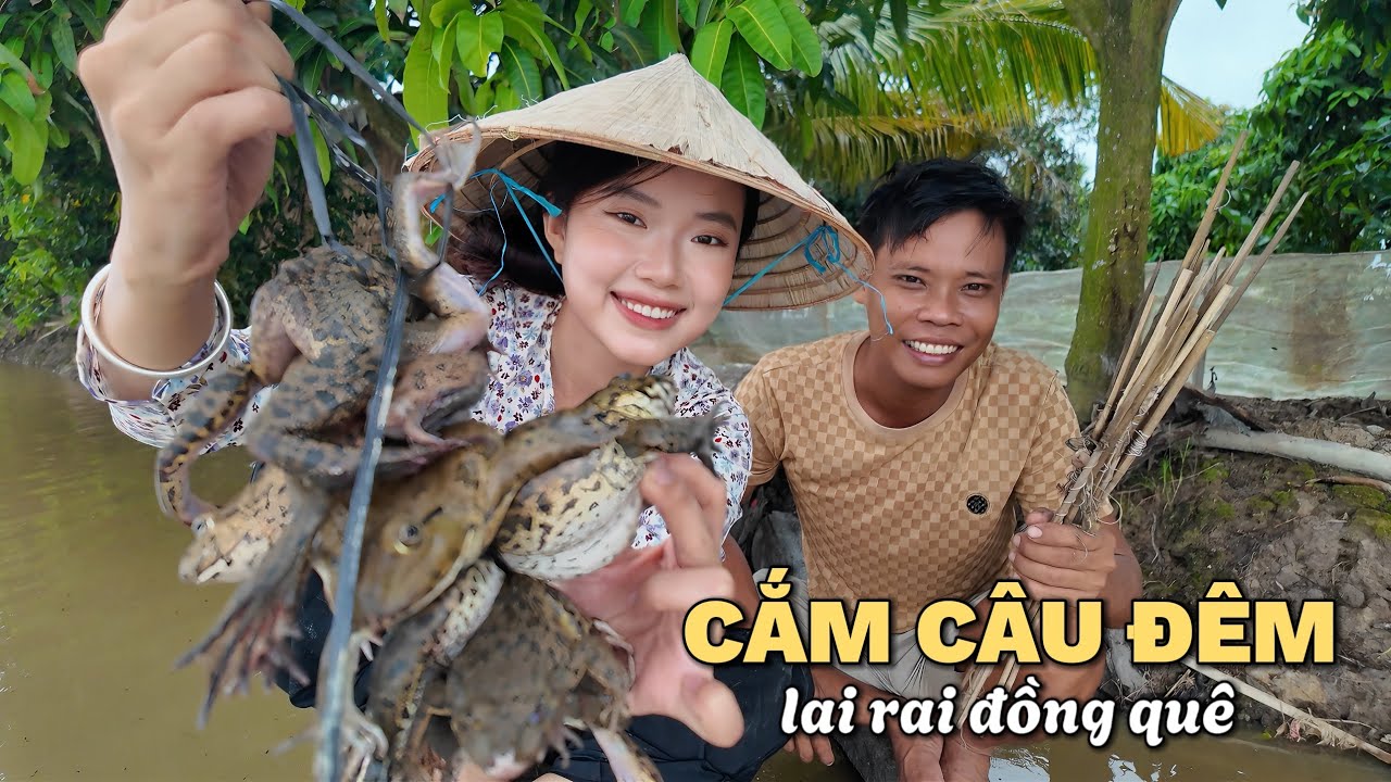 Ếch đồng kho sả cay nồng. Chòi lá gió lộng ấm lòng đêm khuya. Cắm câu đêm ếch đồng bài mồi hiệu quả