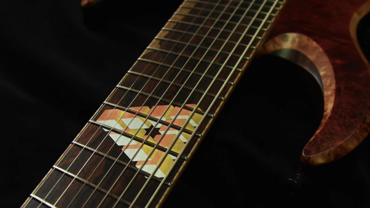 Waghorn Guitars 9 String Corax