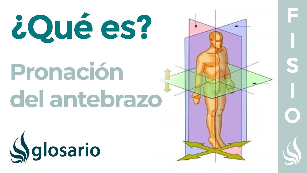 PRONACI&Oacute;N | Qu&eacute; es, qu&eacute; parte del cuerpo realiza este movimiento y c&oacute;mo se produce