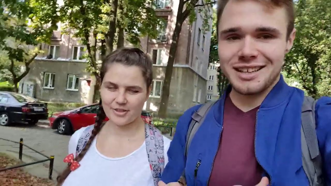 🐺 Zawód: PIES PRZEWODNIK