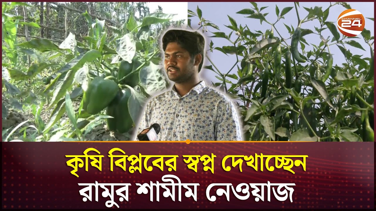 শত শত তরুণকে কৃষি বিপ্লবের স্বপ্ন দেখাচ্ছেন রামুর শামীম নেওয়াজ | Coxbazar News | Channel 24
