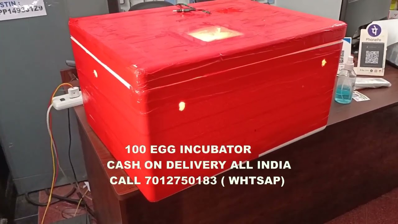 100 Egg Incubator hatching machine for poultry bird  in Sagar distric Dewas Dewas districtSingrauli