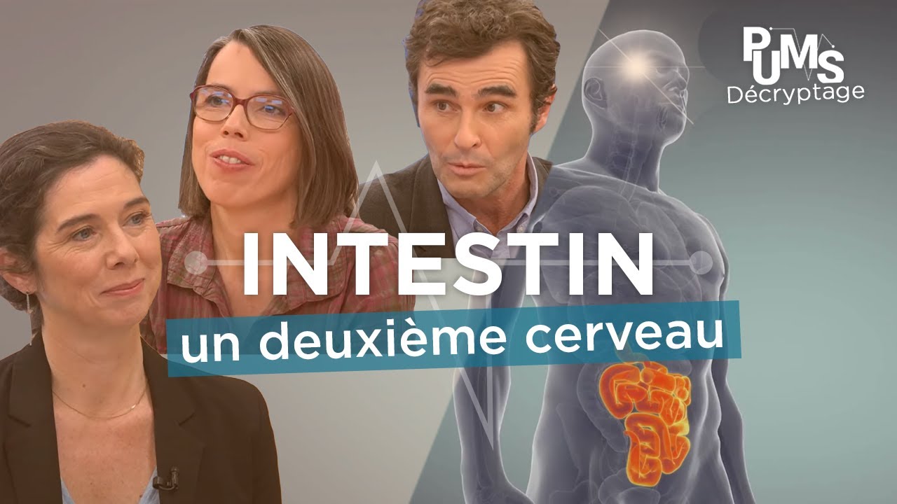 Soigner son intestin et son MICROBIOT pour une meilleure santé ? L’importance du dépistage.