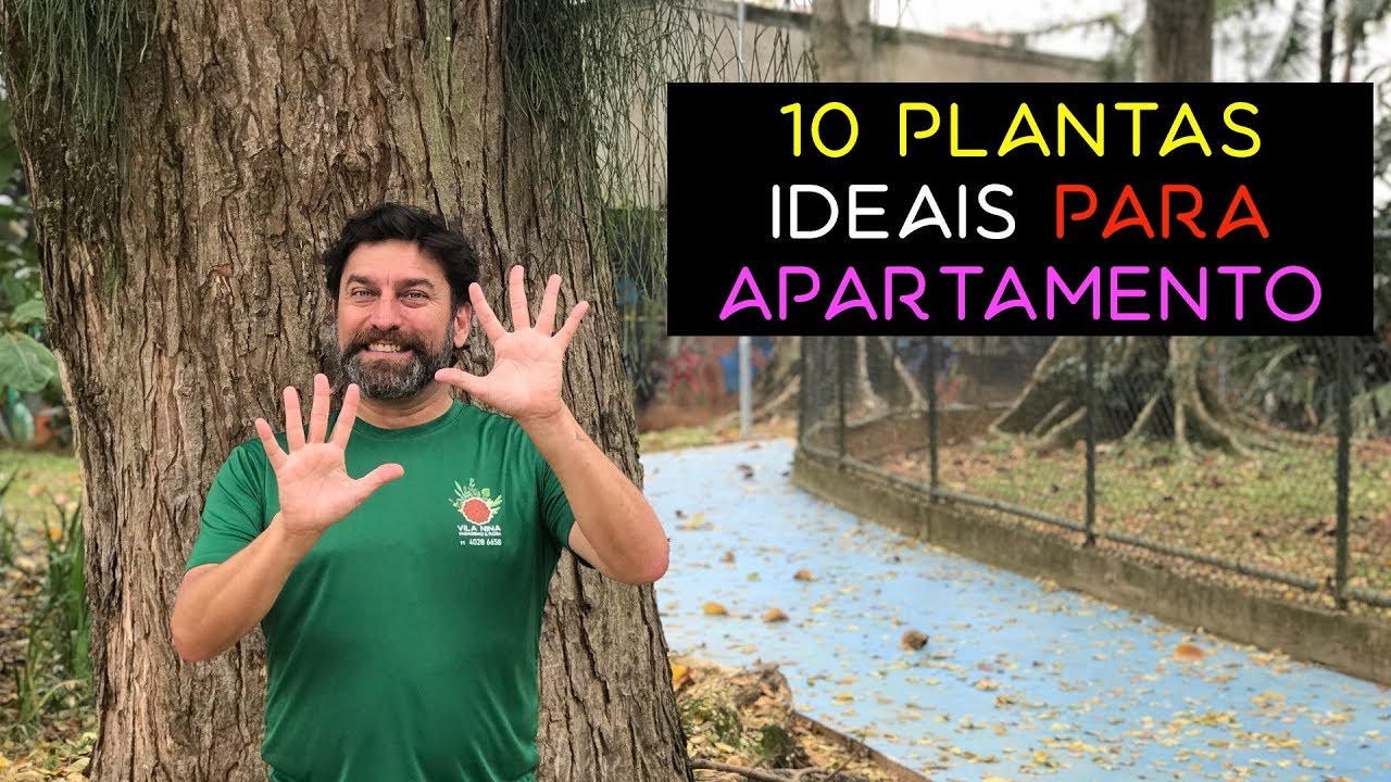 10 Plantas Para Apartamentos