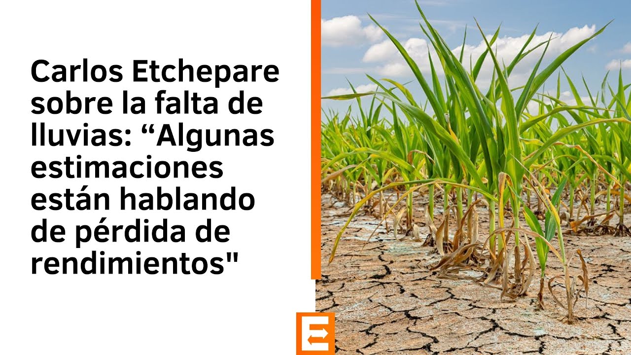 Etchepare sobre la falta de lluvias: “Algunas estimaciones hablan de pérdida de rendimientos