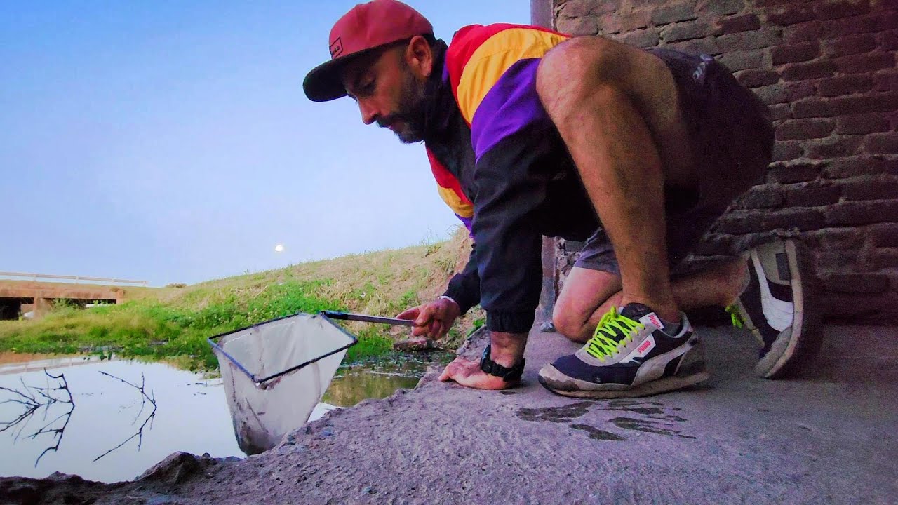 Recorrida nocturna por 