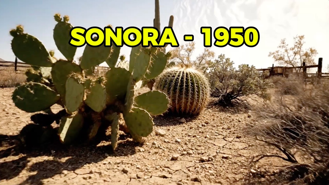 El Pueblo que se Quedó Vacío | Sonora Rural - 1950