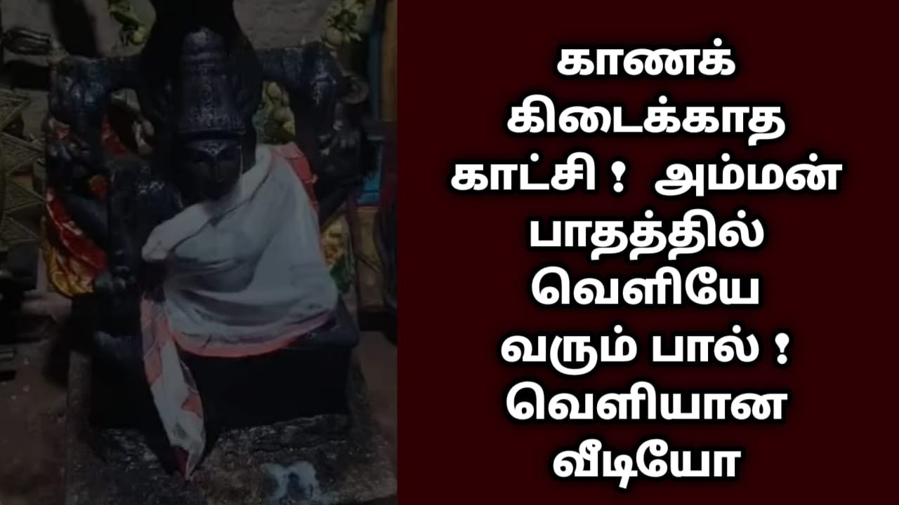 காணக் கிடைக்காத காட்சி !  அம்மன் பாதத்தில் வெளியே வரும் பால் ! வெளியான வீடியோ !