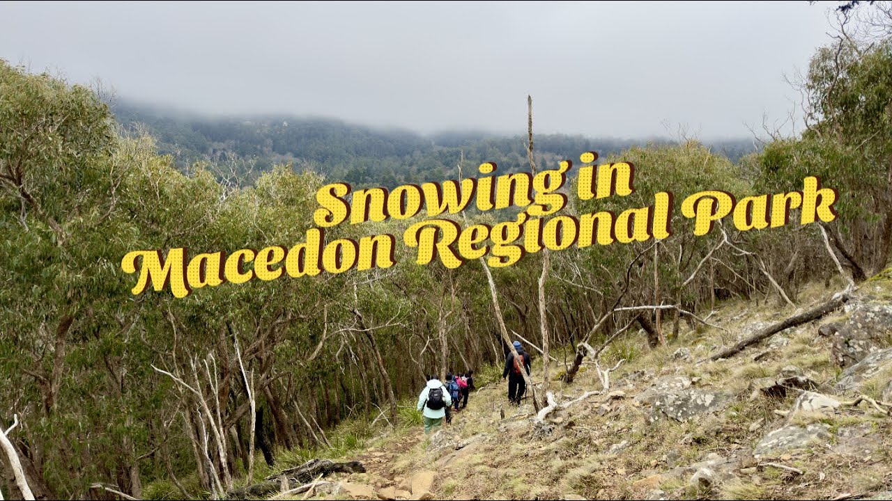 Snowfall in Macedon Regional Park, Melbourne, Australia