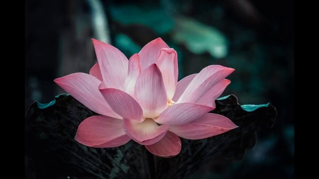 Remove Mental Blockages & Subconscious Negativity - Remove Negative Emotions