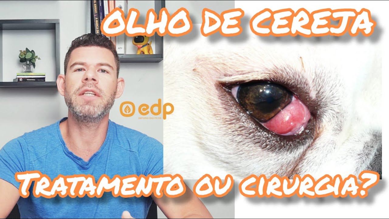 99 | OLHO DE CEREJA - COMO TIRAR, CURAR OU TRATAR?