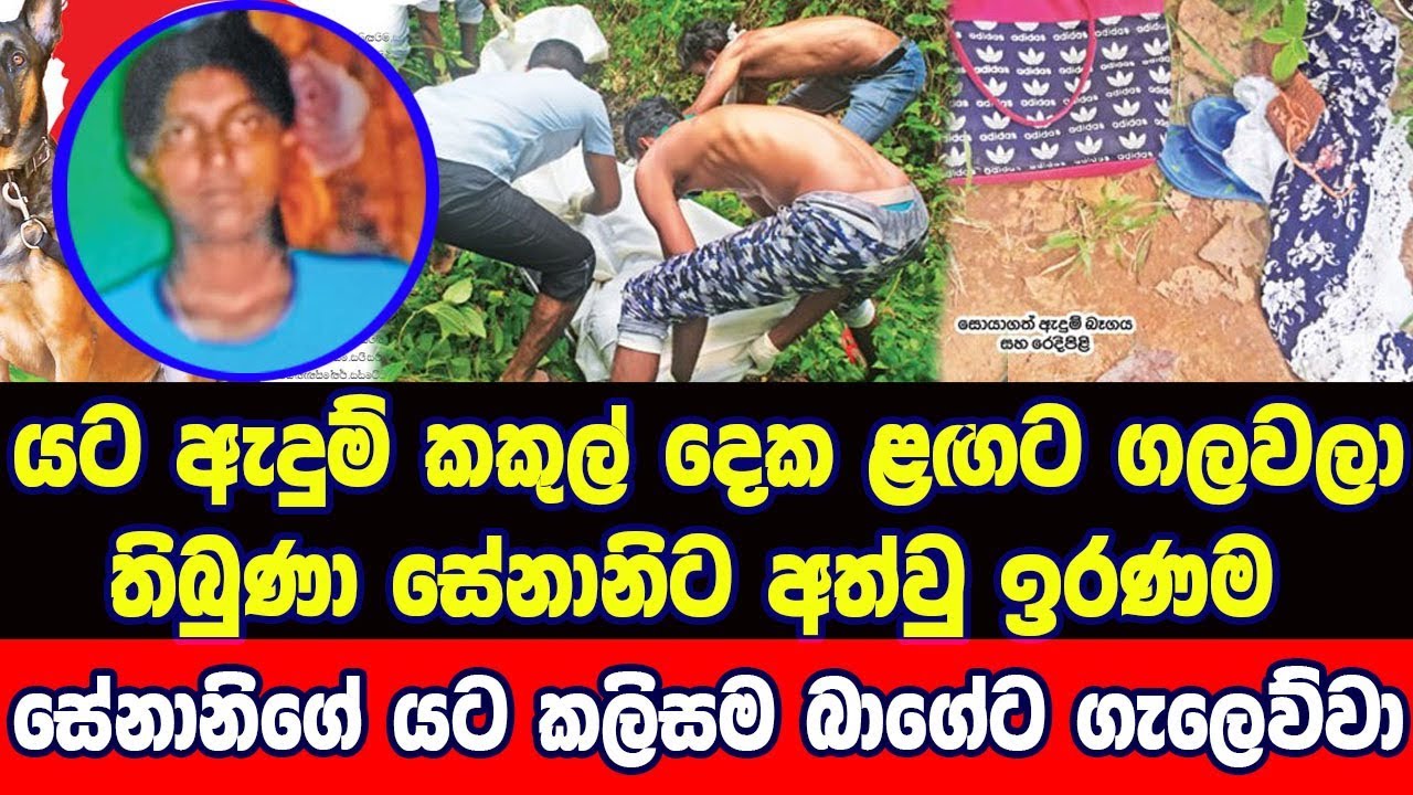 දියණියක සිටි සේනානි ගොවිපලක වැඩටගිහින් වුන දේ - The story of Senani