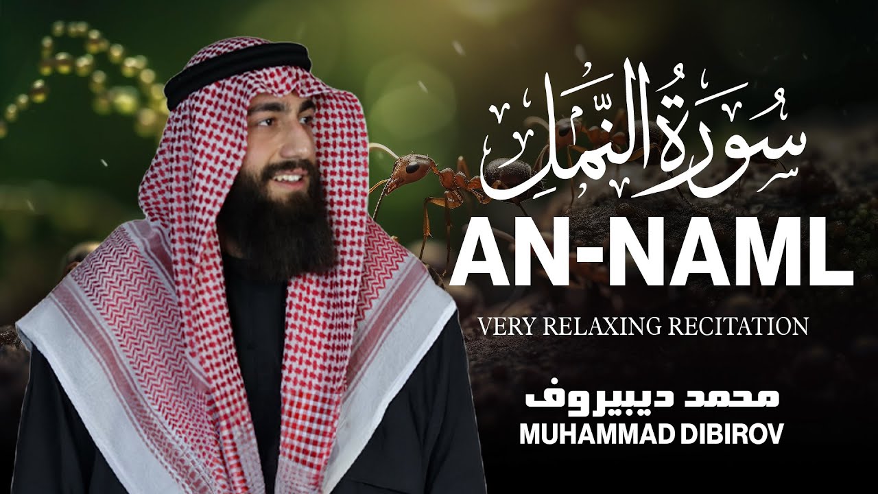تلاوة مميزة من أجمل التلاوات 🎧❤️ من سورة النمل (وتفقد الطير فقال....) || القارئ محمد ديبيروف [ HD ]