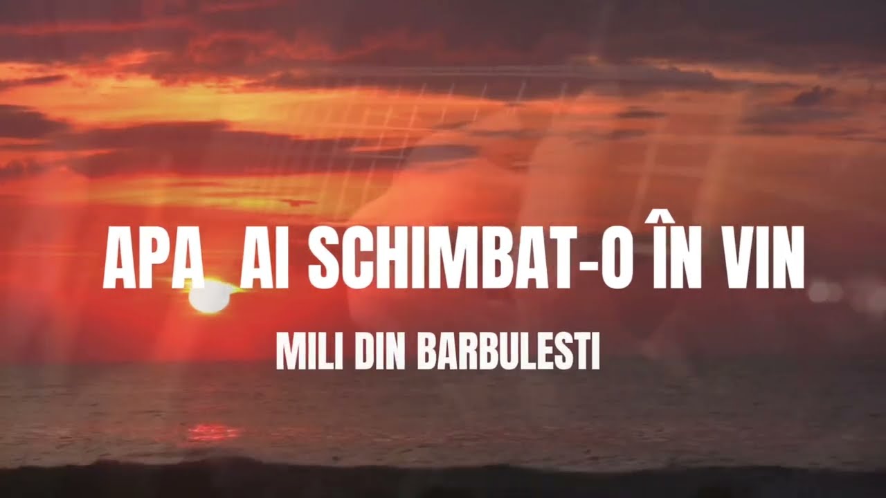 @MILIDINBARBULESTI -APA AI SCHIMBAT-O IN VIN (Video Official )