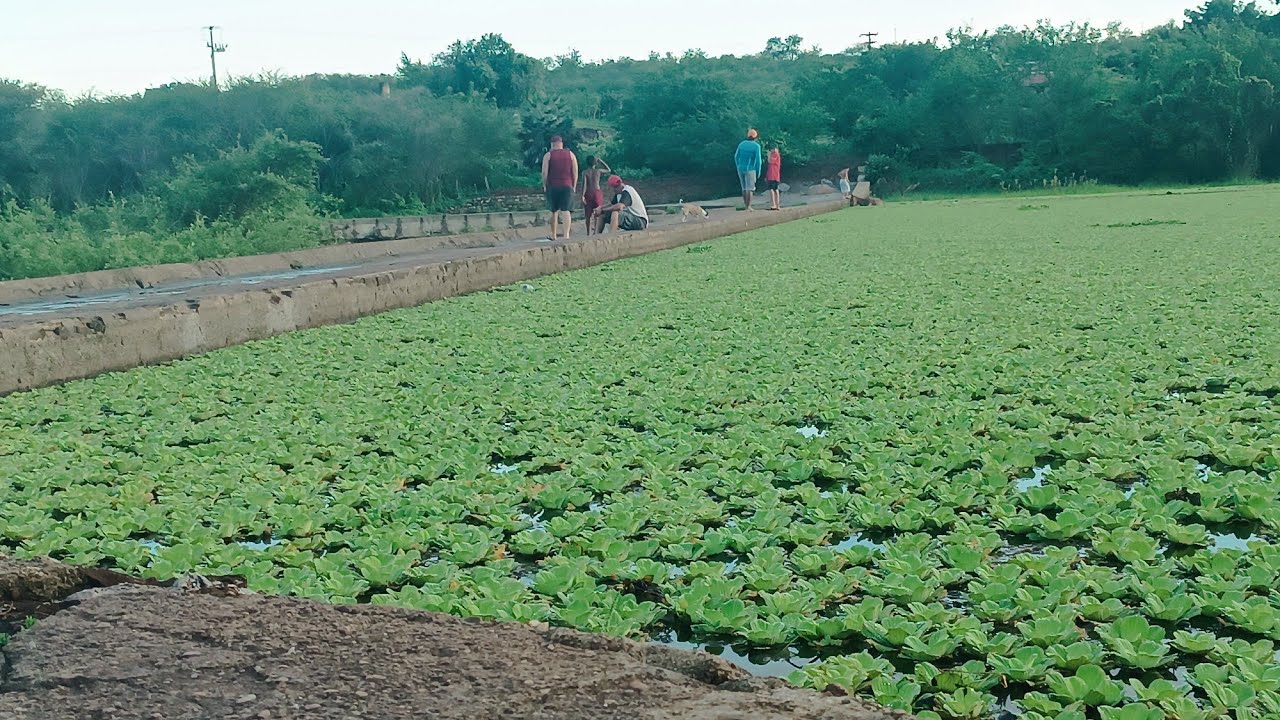 BARRAGEM CREBILOM LIMA VERDE SOBRE O RIO JAGUARIBE, ESTÁ CHEGANDO A HORA.