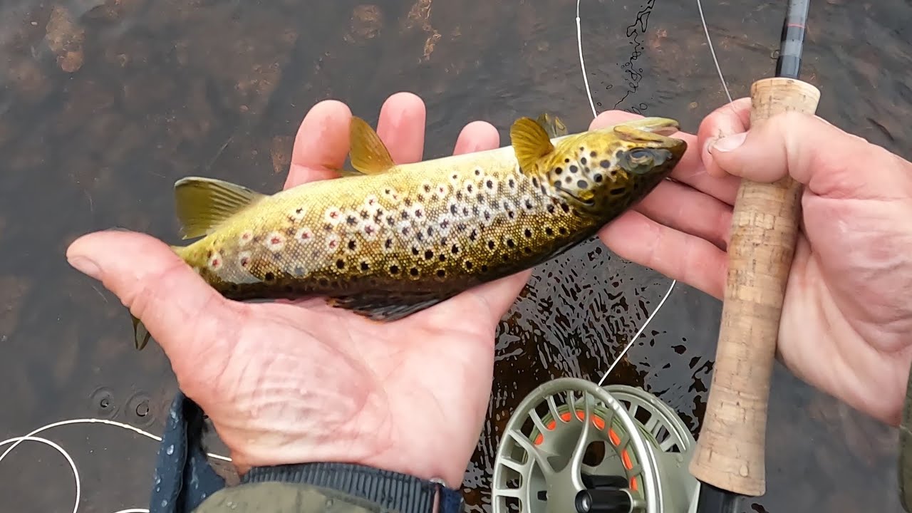 North Uist Adventure   Fishing the remote lochs