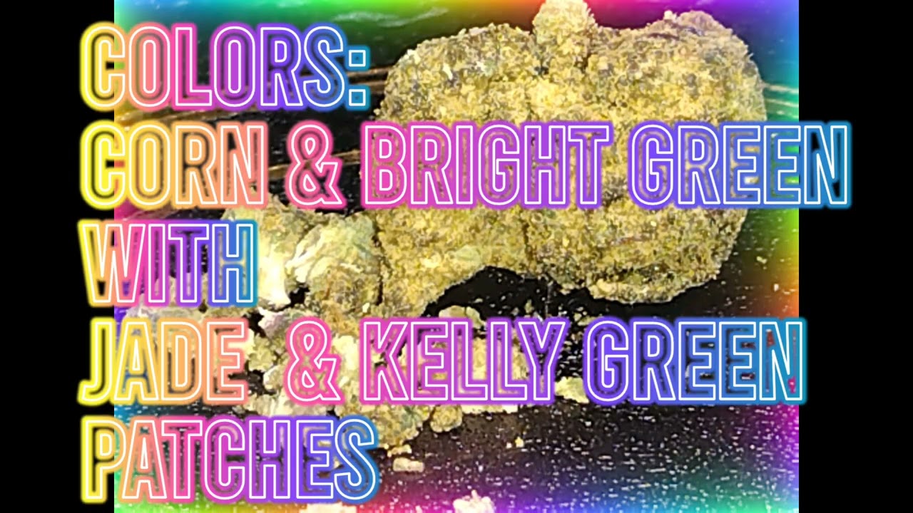 Blue Widow MoonRocks Strain Review Budpedia