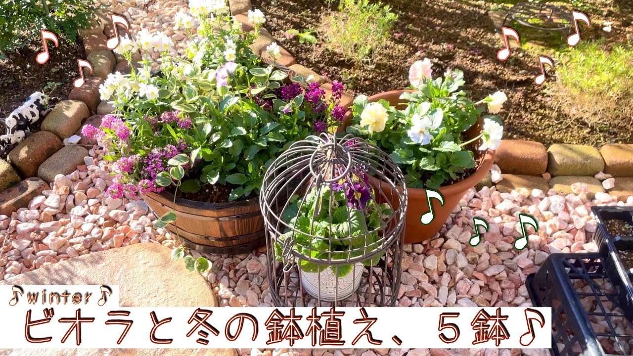 【ガーデニング】パンジービオラが着々と増えていく。いち早く植え付けたい花たち♪鉢植え・寄せ植え