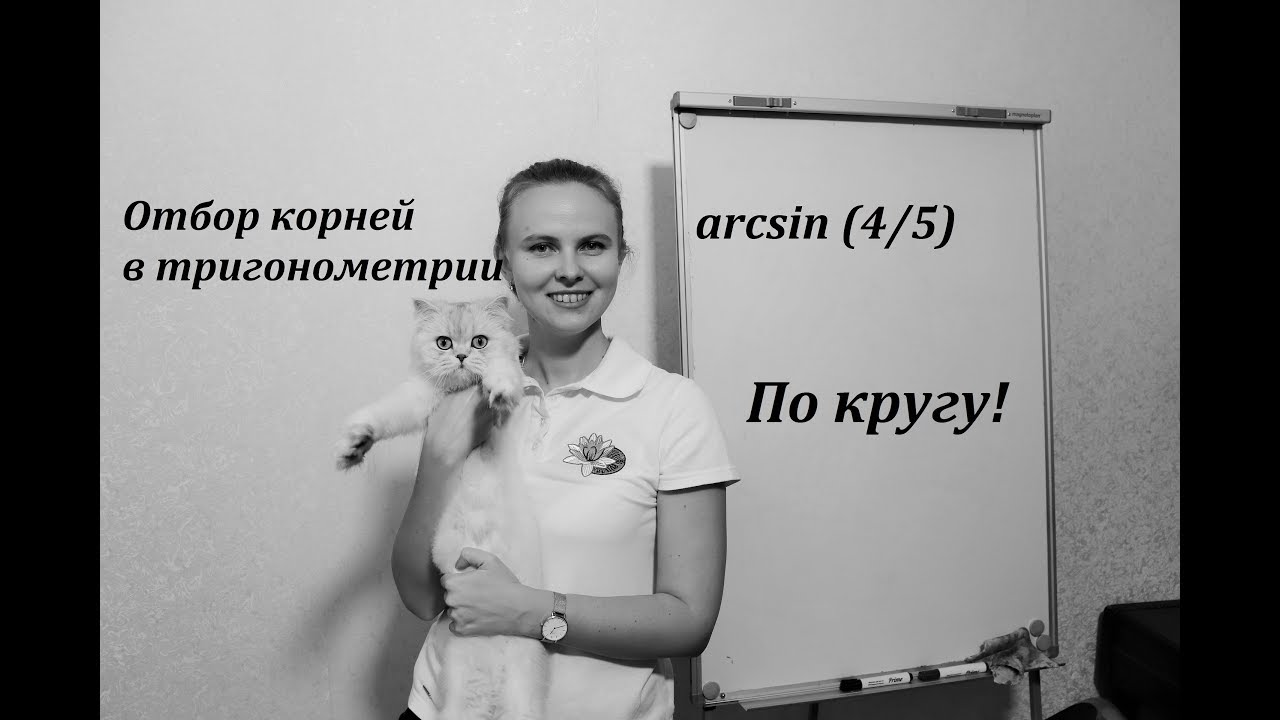1b. Отбор корней в тригонометрии с кругом (АРКСИНУС!)
