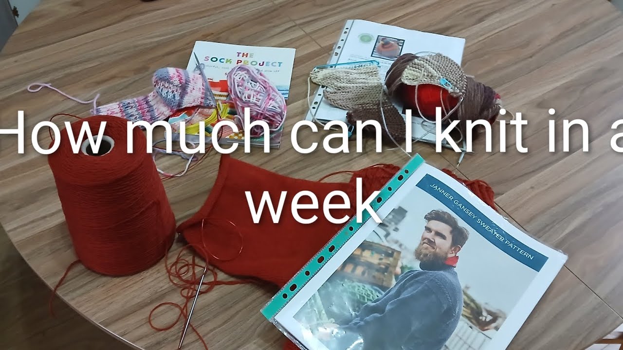 The knitting bird. Ep5/ How much can I knit in a week. 