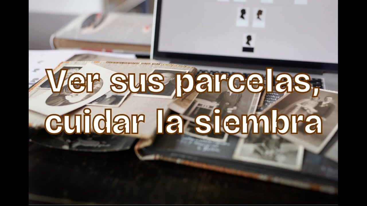 Papá Mundo - Diferente Nivel (video letra)