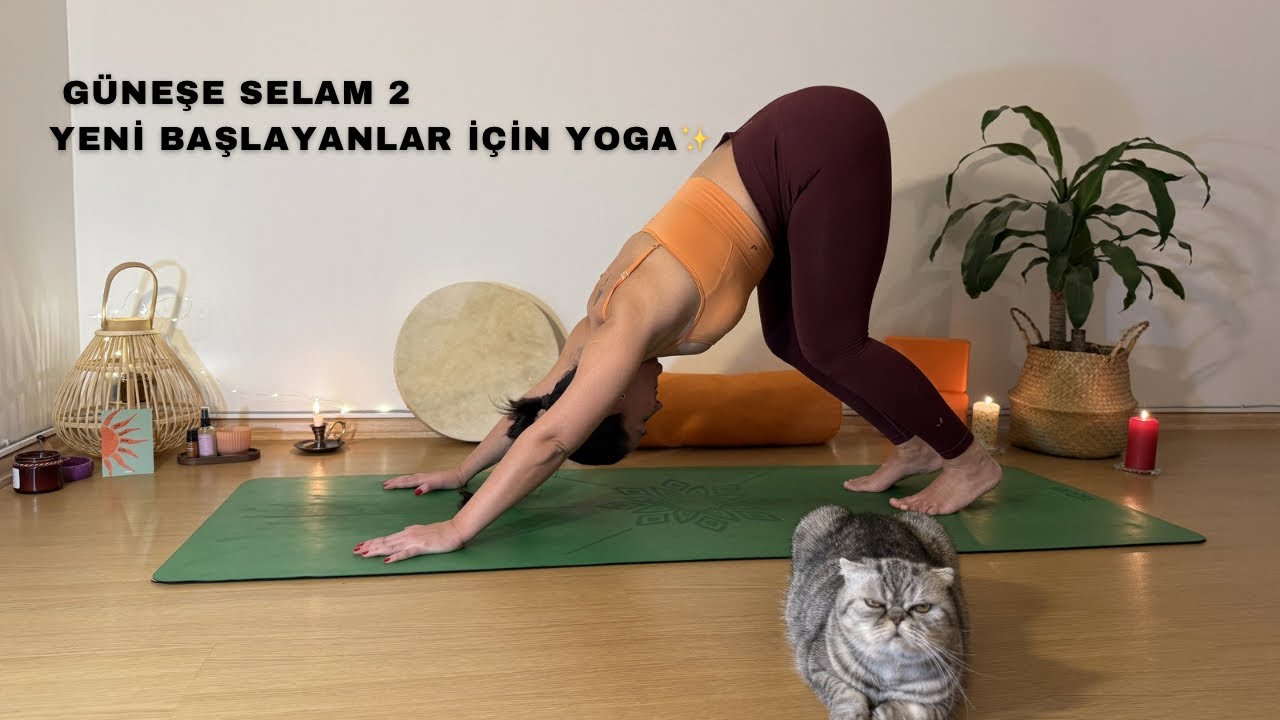 Güneşe Selam 2 (Surya Namaskar) | Yeni Başlayanlar İçin Yoga
