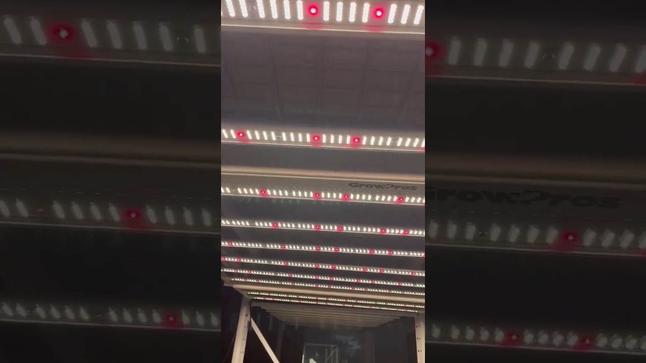 Ultra thin LED grow lights #horticulture #ledgrowlights #indoorgardening #verticalfarm #hydroponic
