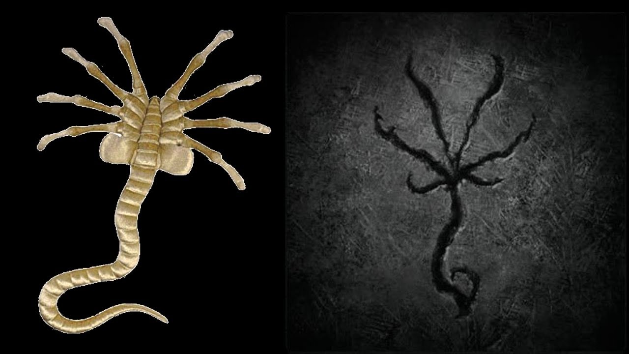 The Parasites in Bloodborne Explained (Ludwig's guidance and 'thread of light')