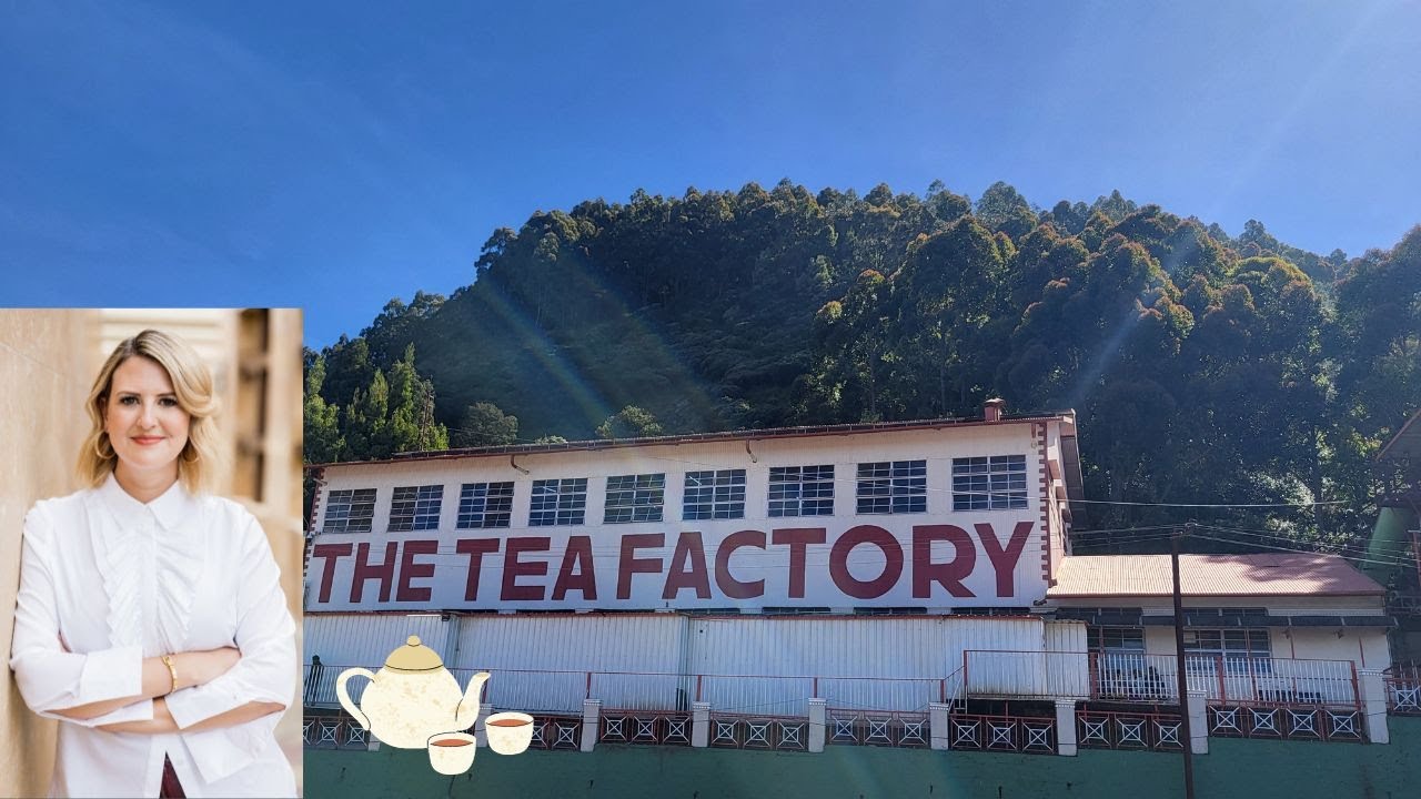 Ooty Tea Factory  /  A Journey Through Tea-Making Bliss