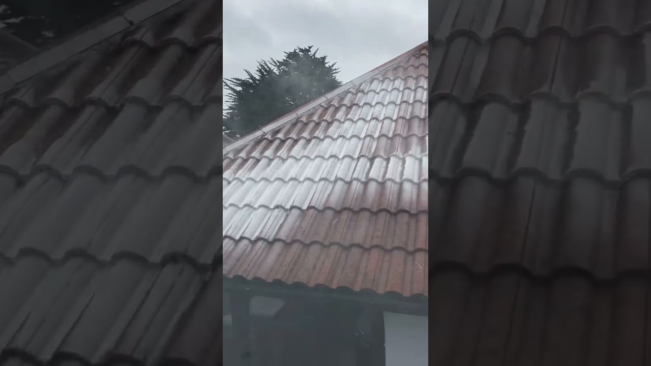 Biocide with x jet #satisfying #cleaning #pressurewashing #pressureclean #best #cleanings #super