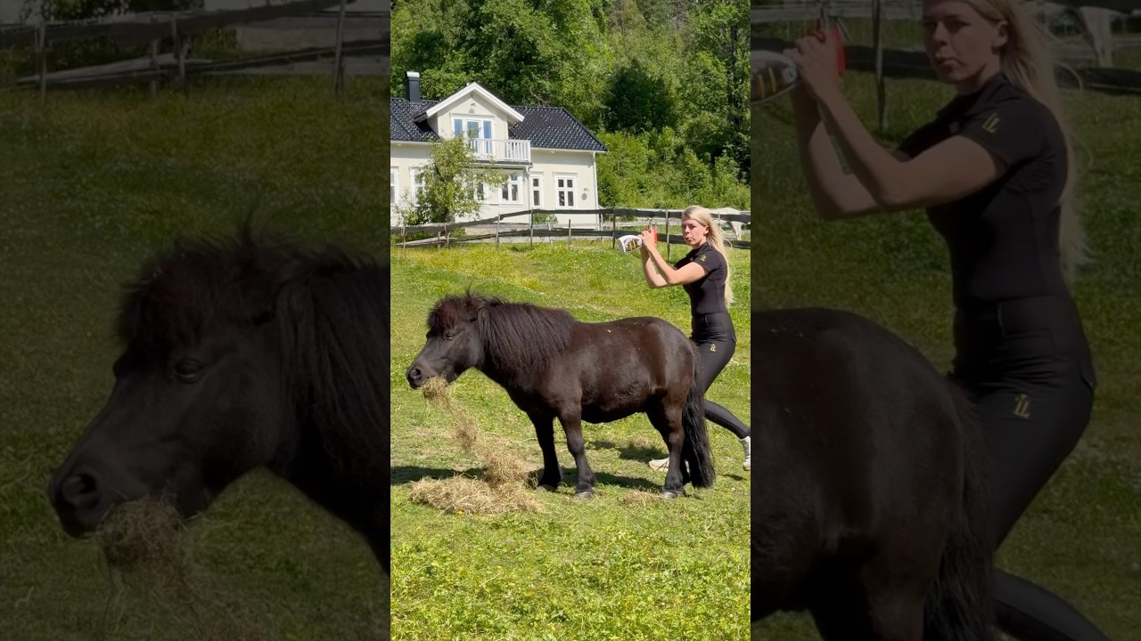 💥MUST HAVE for all equestrians💥 