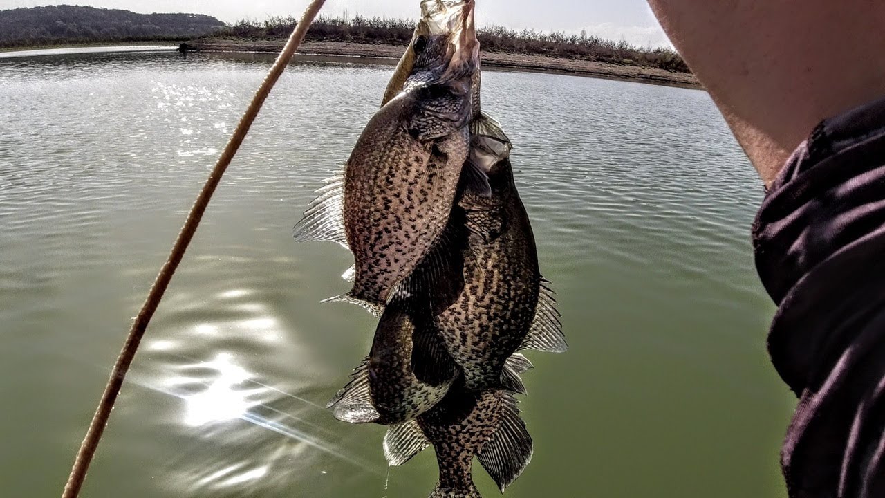 Cranes Mill Park, Canyon Lake Texas!  *Stringer of Crappie*