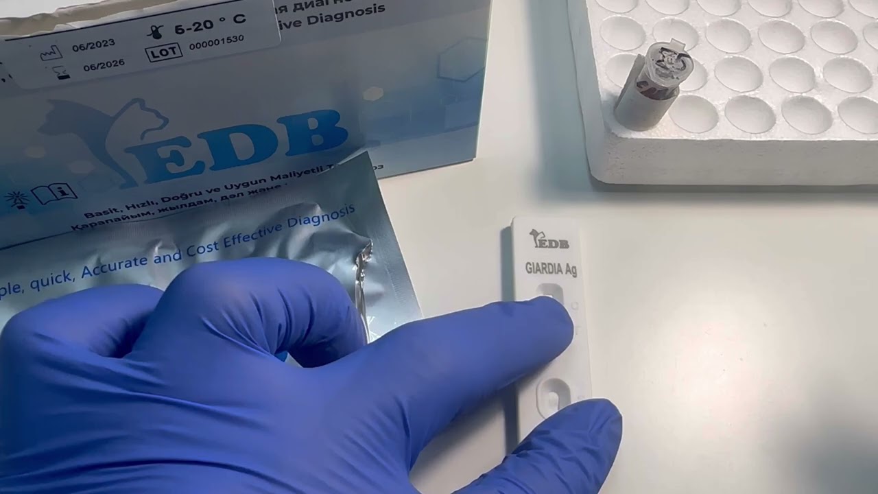 Экспресс-тест на Лямблиоз собак и кошек - GIARDIA Ag, материал: ректальный смыв