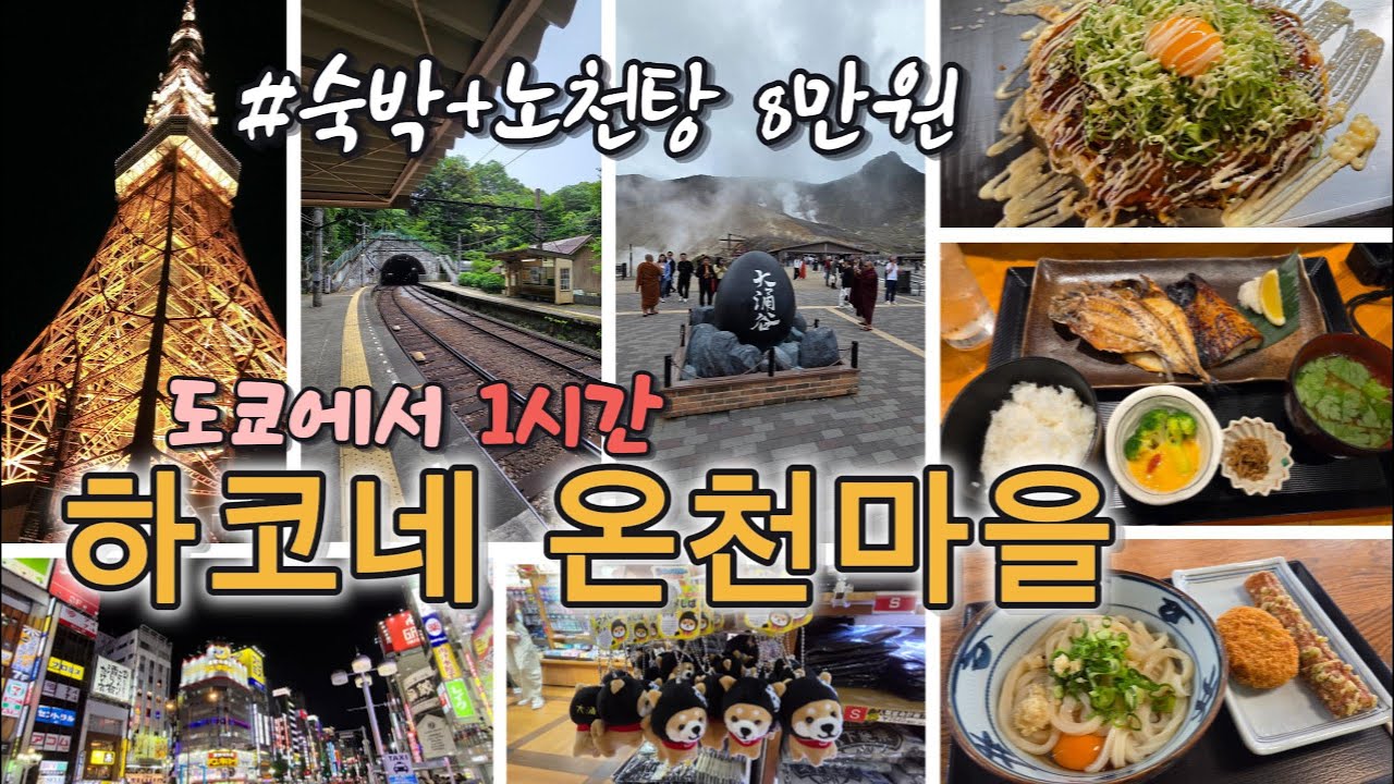 🇯🇵 도쿄여행 필수코스 하코네 온천마을 찾아가기 | 도쿄시내 | 신주쿠 맛집 | 하코네 온천여행 | 가성비 료칸 | 아시노 호수 해적선 | 
