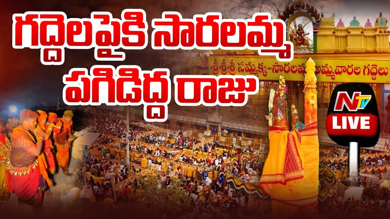 గద్దెలపైకి సారలమ్మ, పగిడిద్దరాజు LIVE : Sammakka Saralamma Jatara Day-01 | NTV