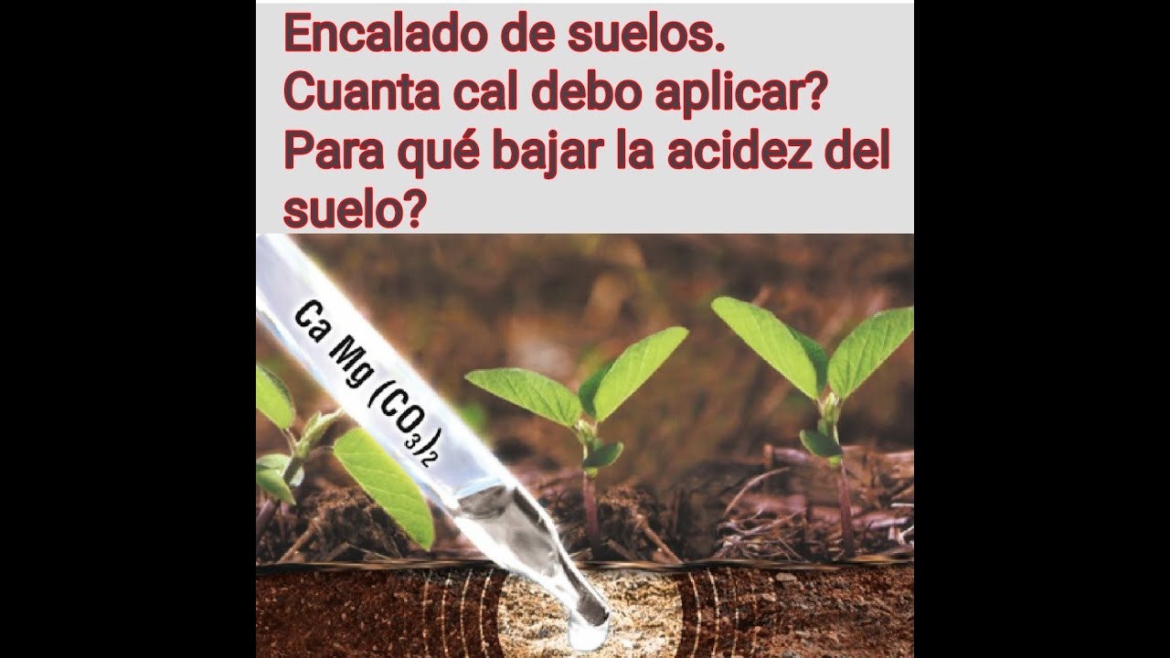 Encalamiento de suelos.