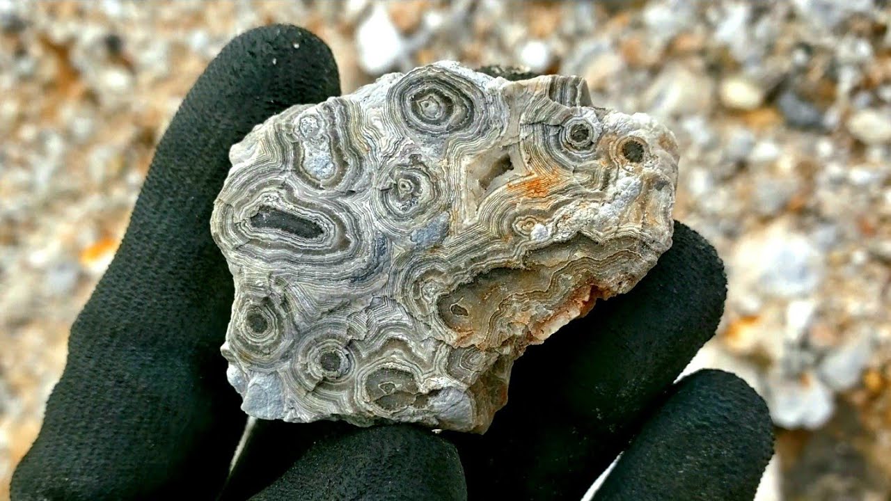 Crazy Lace Agate Hunting In Georgia!