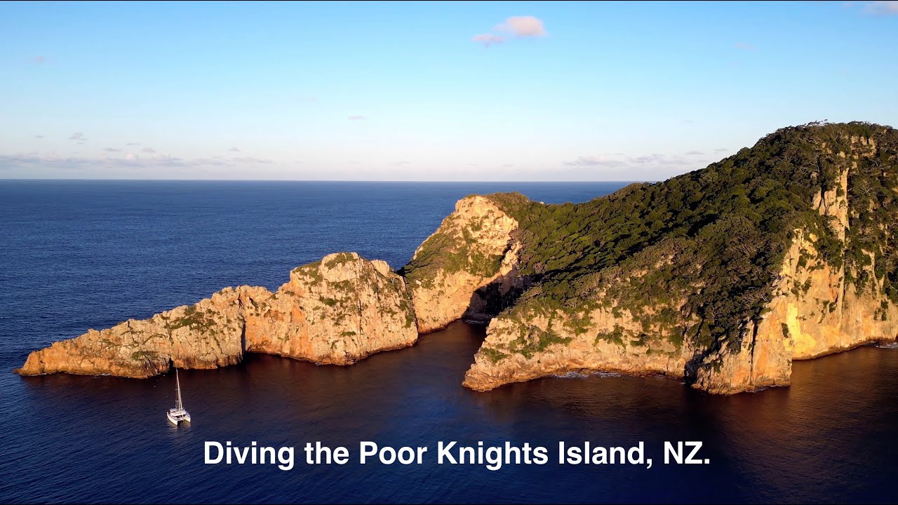 Diving & Exploring the Poor Knights Islands, New Zealand