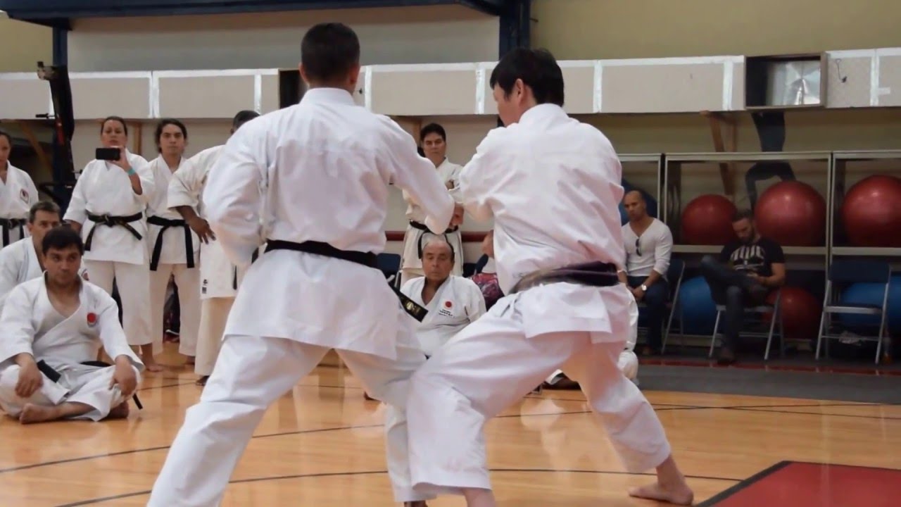 APKS/JKA/WF PANAMA Aito Uchi, Uraken defense and atack tecnic