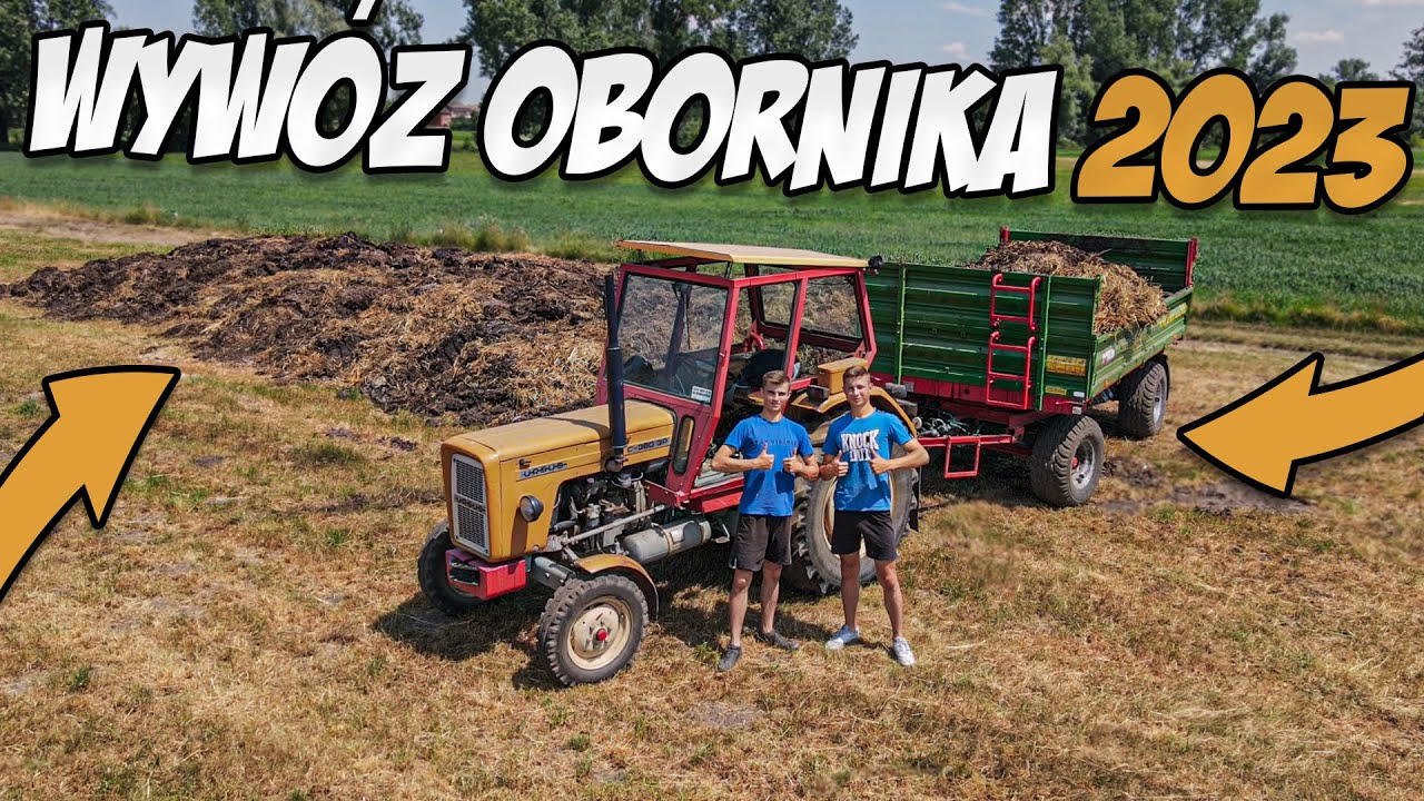🔥WYWÓZ OBORNIKA OD BYCZKÓW 2023🔥 VLOG #4  URSUS ✔ MASSEY FERGUSON ✔URZECZE W OBIEKTYWIE