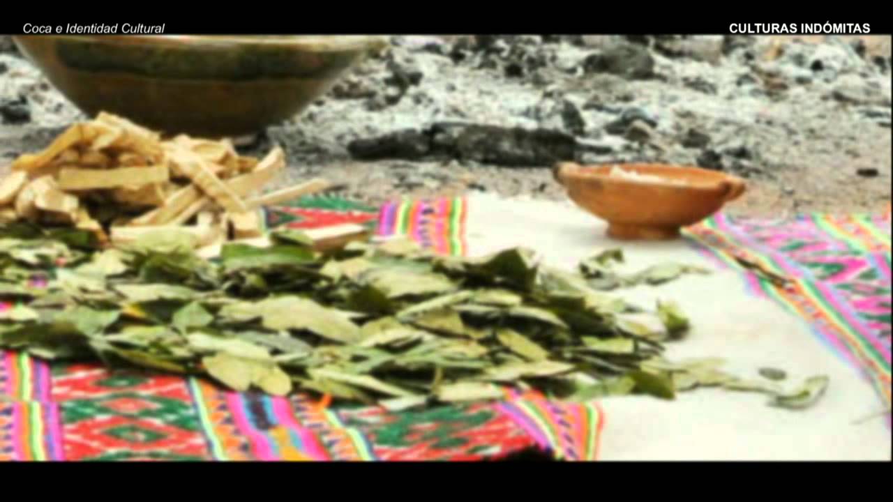 Coca e Identidad Cultural en la Regi&oacute;n Andina