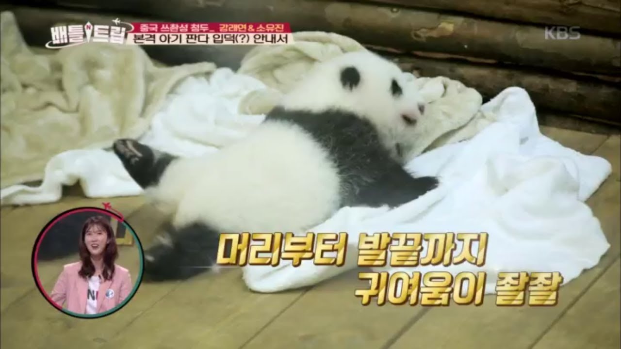 배틀트립 Battle Trip - ※귀여움주의!!※ 강래연&소유진, 본격 아가 판다 입덕(?) 안내서~&hearts;.20180825