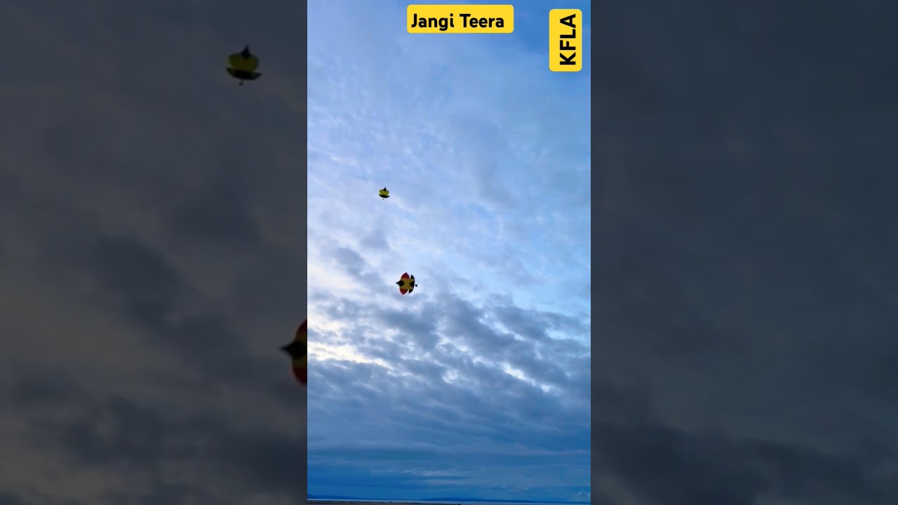 Kite Design Jani Teera #dillikiteclub #kiteflying #bigkitefestival #kite #patangbazicanada #basant