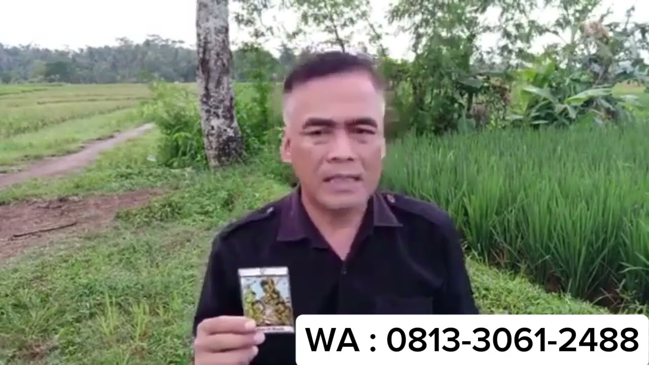 Capricorn asmara seorang wanita bermedistasi