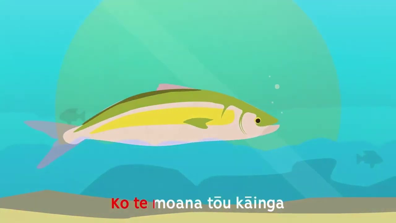 01 Kahawai