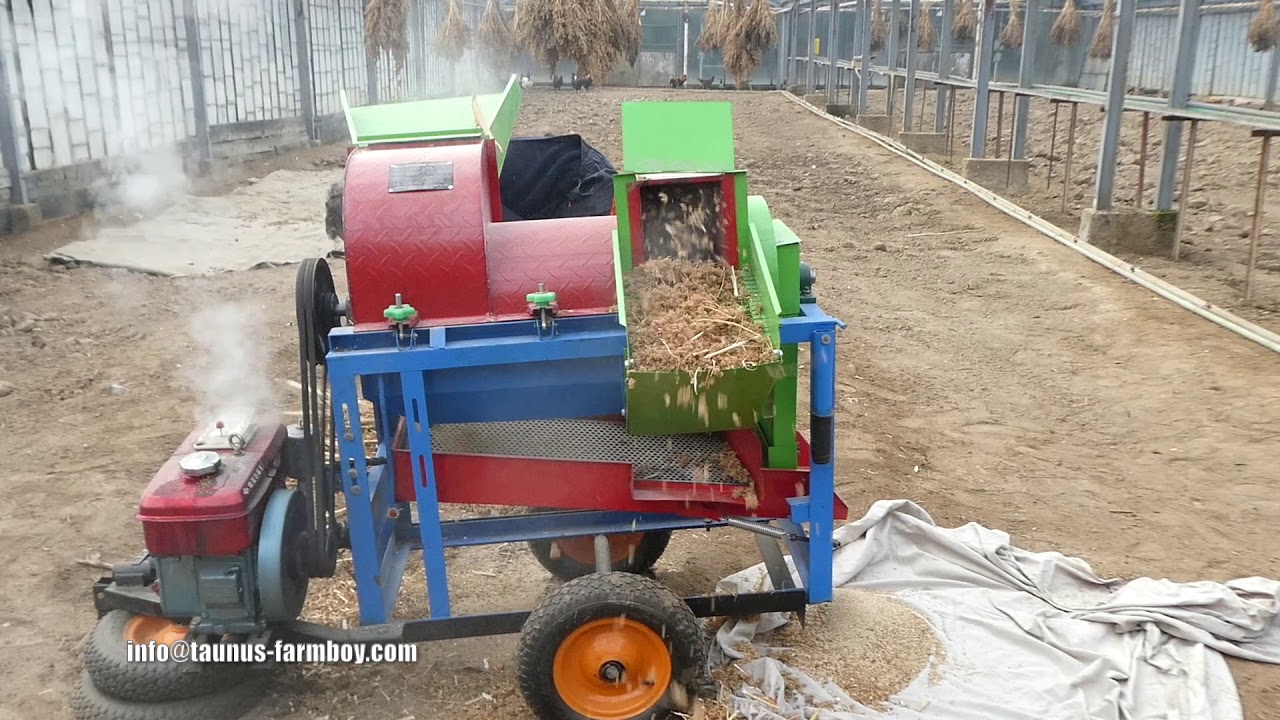 Quinoa Story part 6 - Threshing small time