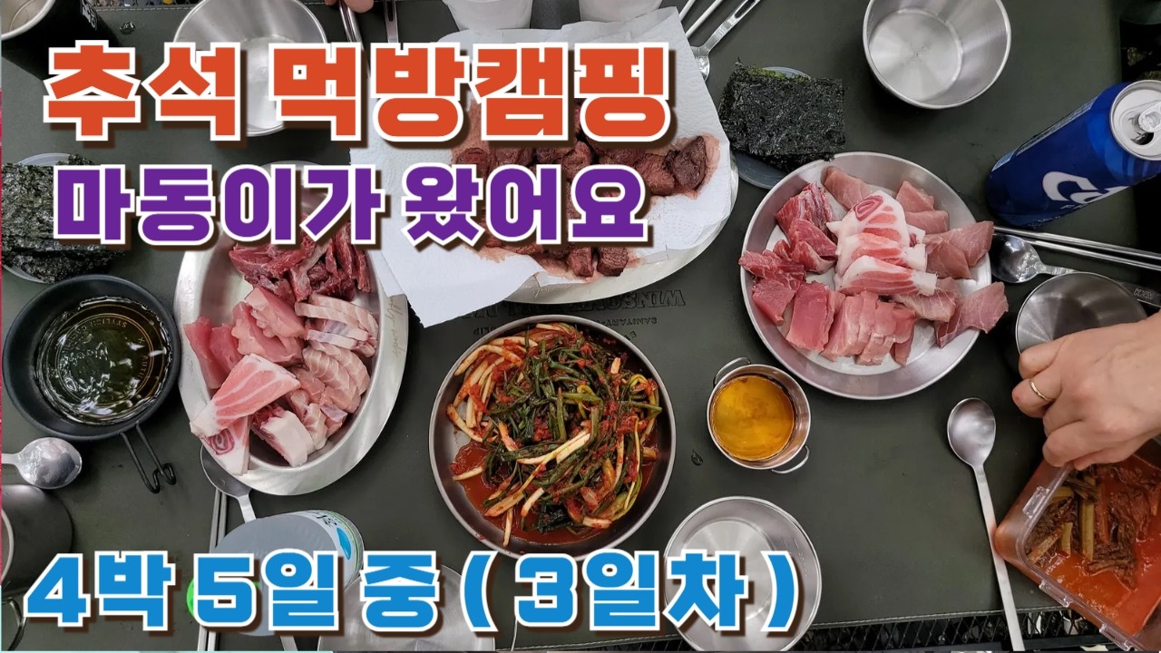 캠핑브이로그 ㅣ반려견과 먹방캠핑 중에 참치와 한우등심에 어울리는 음식을 찾았어요 ㅣ 드론RTH l 마동이등장 #참치 #한우 #파김치 #드론리턴투홈 #마동이